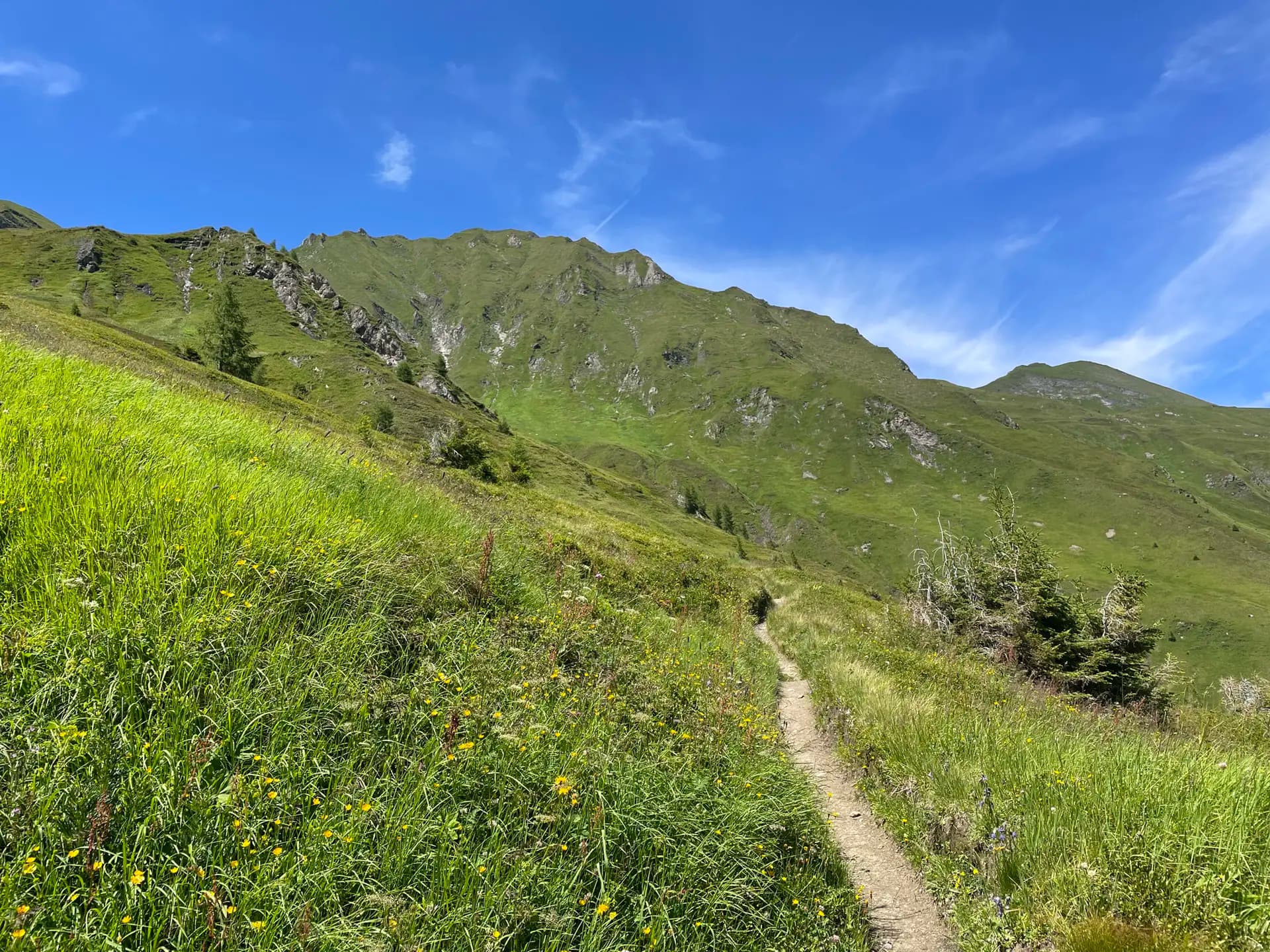 Hiking trail through a grassy alpine meadow with green mountain slopes under a clear blue sky.