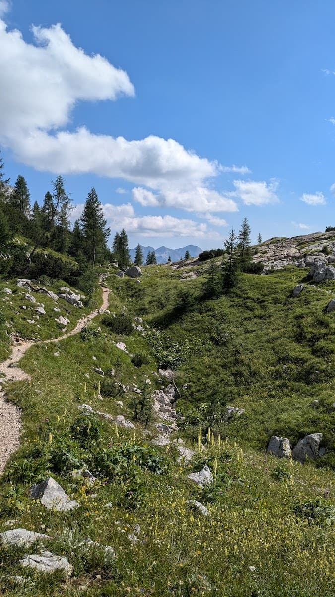Hiking trail winding through grassy alpine meadow with scattered rocks and distant mountains